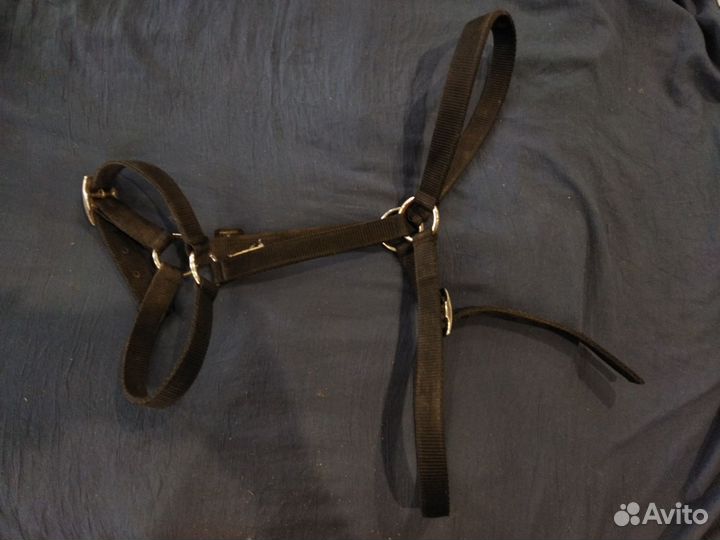 Краги для верховой езды детские