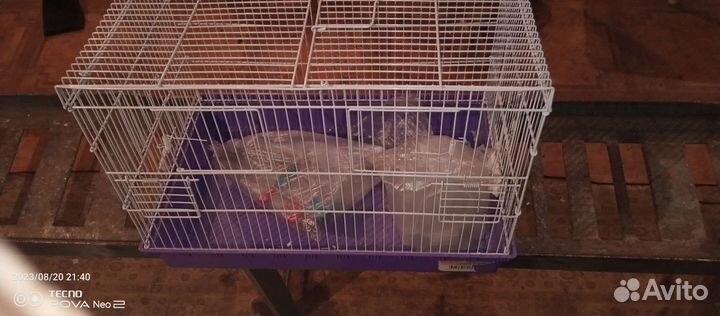 Большая клетка для птиц
