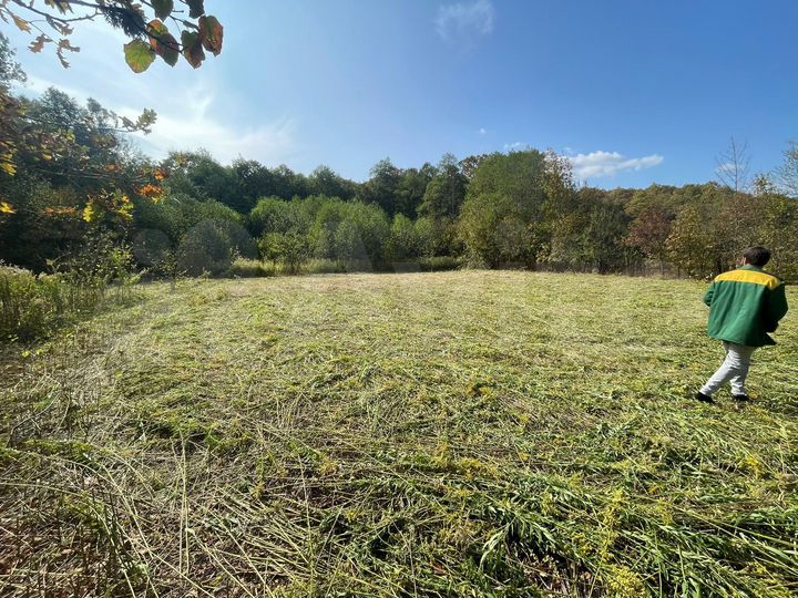 Участок 51 сот. (СНТ, ДНП)