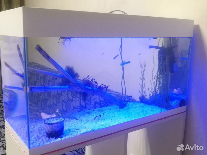 Аквариум 100 литров белый