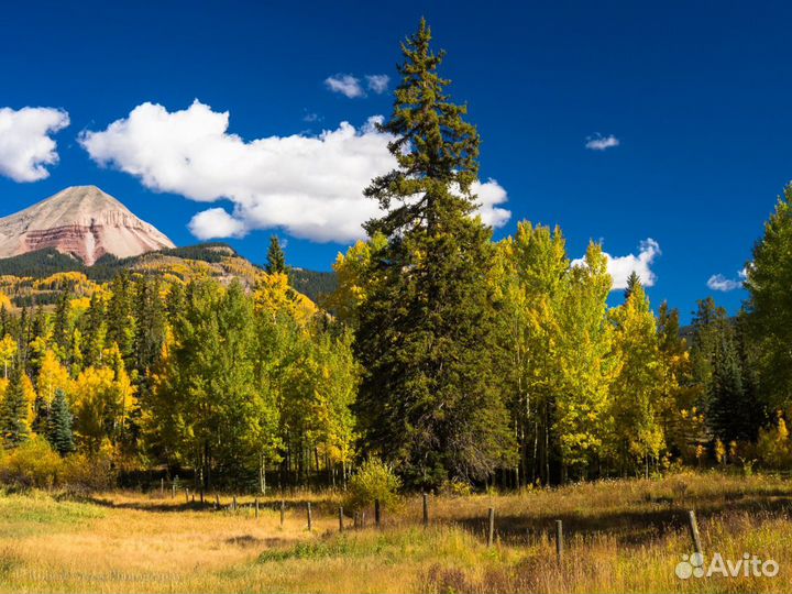 Olympus M.Zuiko 25mm f/1.8