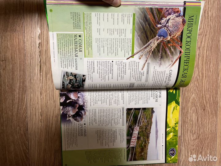 Книга рекордов гиннесса