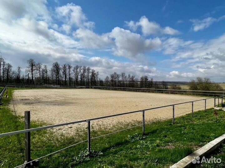 Постой для лошадей