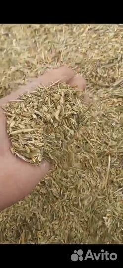 Зерноотходы