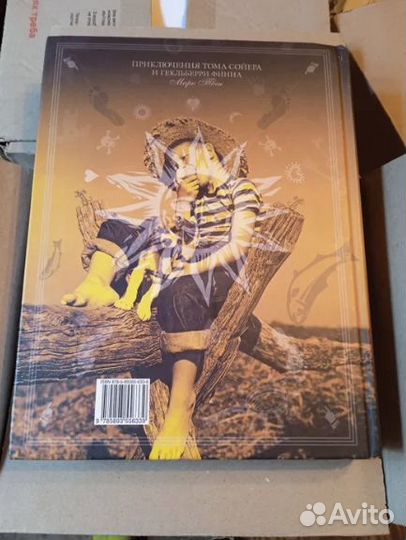 Приключения Тома Сойера Гекльберри Финна