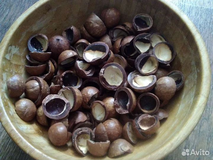 Скорлупа макадамии, грецкого и кедрового ореха