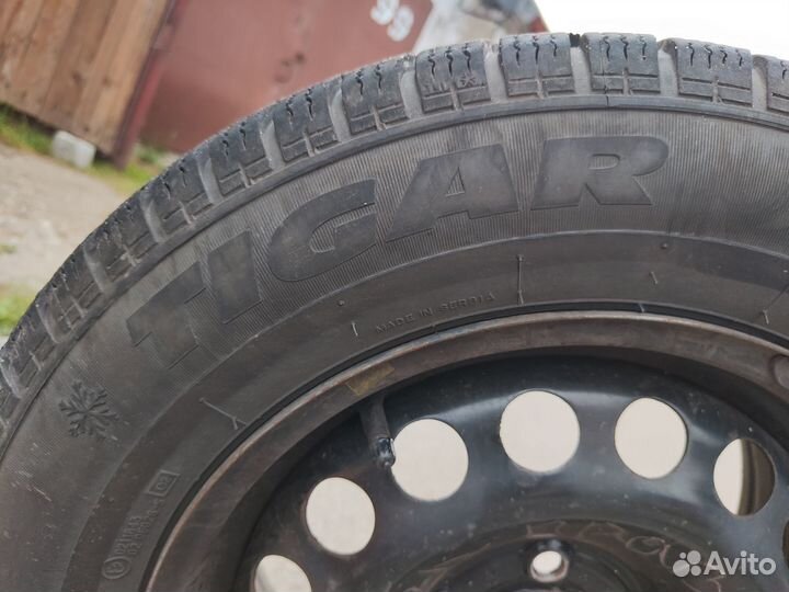 Tigar Winter 185/60 R15