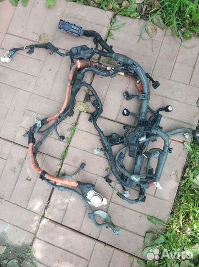 Тойота приус проводка двигателя 2ZR