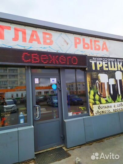 Магазин пива и рыбы