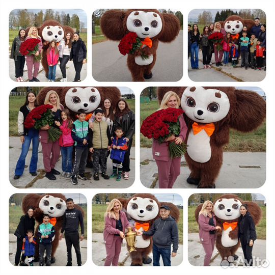 Поздравление от Ушастика