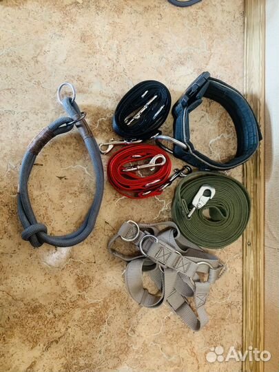 Royal canin gastrointestinal