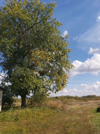 Дом 40 м² на участке 50 сот.