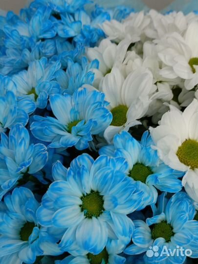 Букет из кустовых хризантем