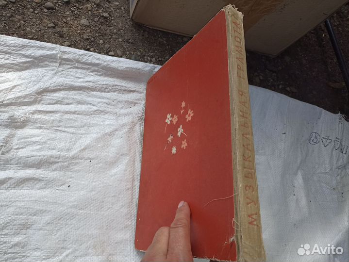 Музыкальная грамота