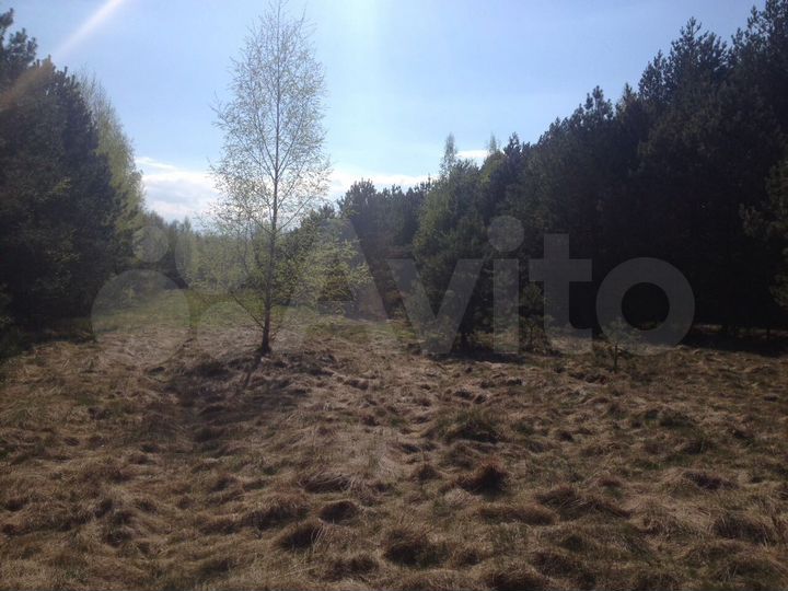 Участок 75 сот. (ИЖС)