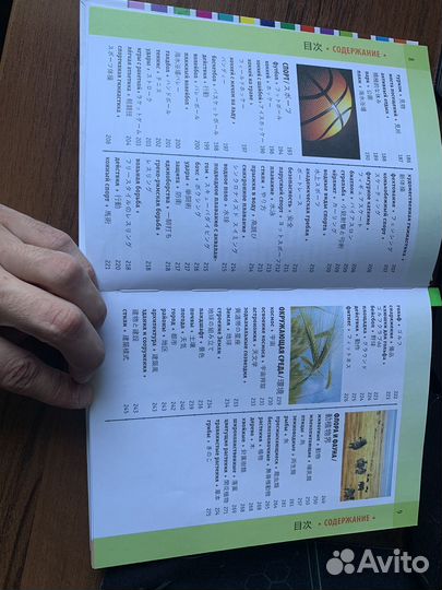 Русско японский словарь