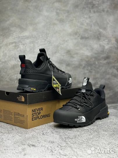 THE north face gore-TEX