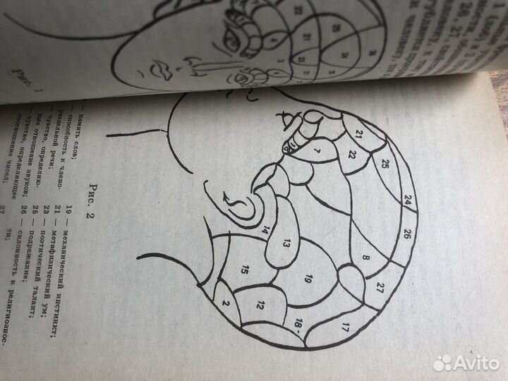Тайны личности. Определение характера человека