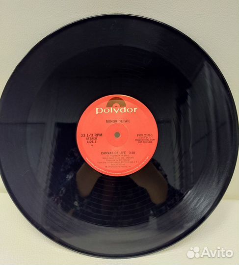 Minor Detail - Hold On /Canvas of Life LP