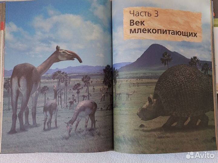 Книги энциклопедия динозавры bbc