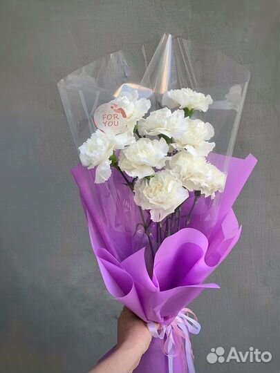 9 диантусов в упаковке.Доставка цветов Вологда