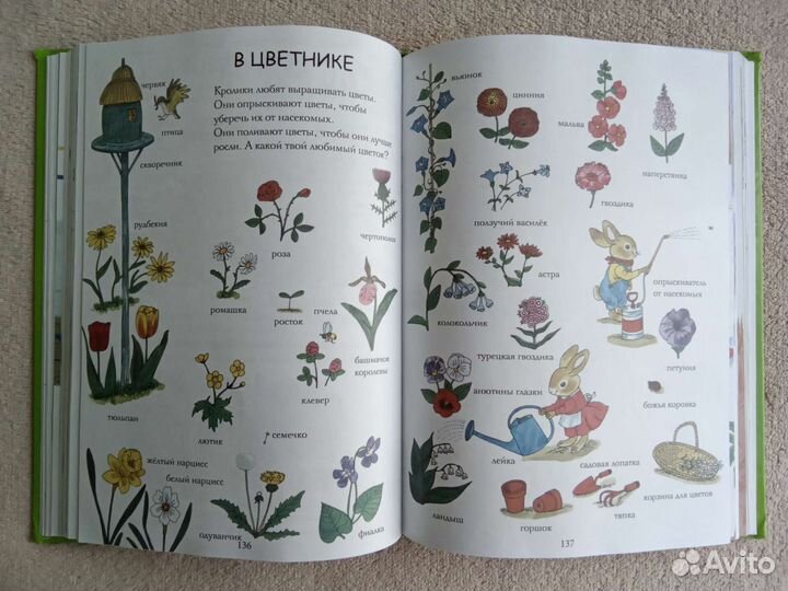 Самая лучшая книга