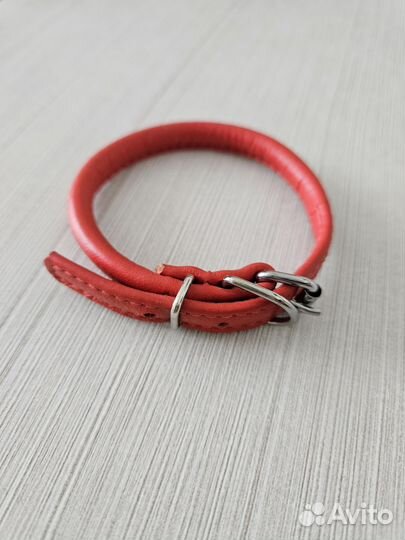 Ошейник для маленькой собаки