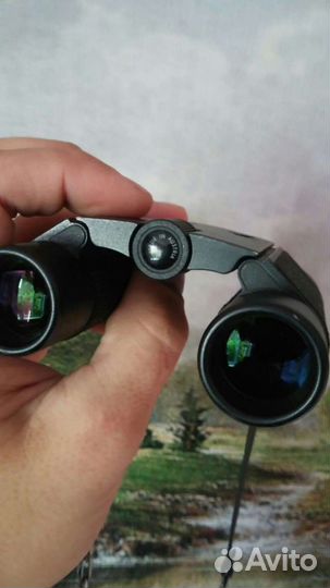 Бинокль Swarovski Pocket 8x20 Nabucco