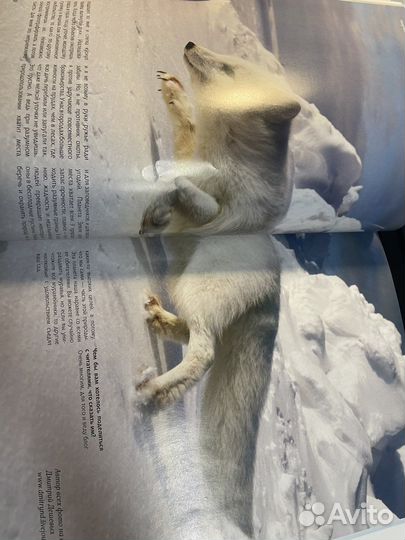 Журнал Beamused #4, море вдохновения