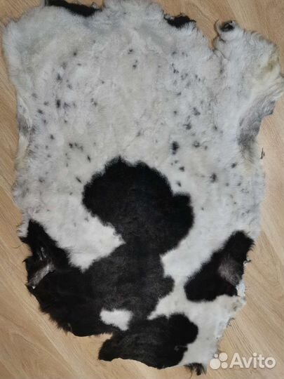 Овечья шкура натуральная