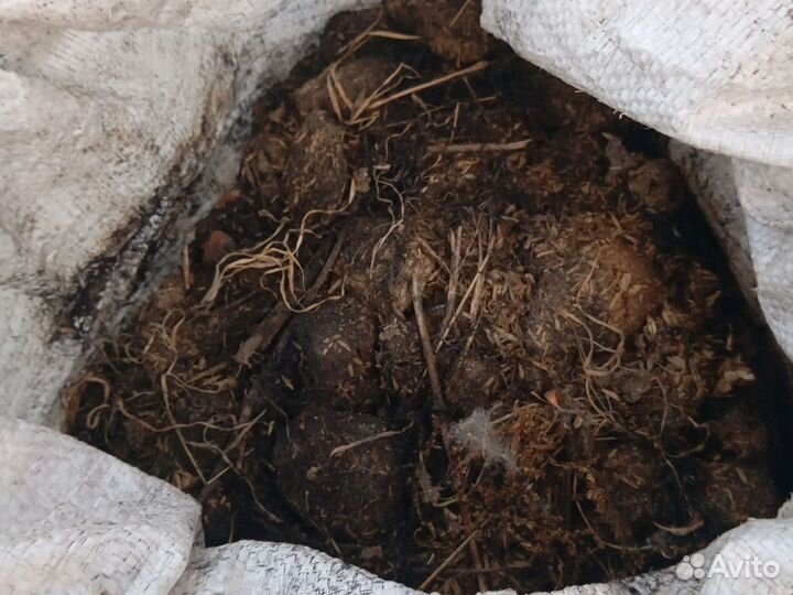 Конский навоз в мешках