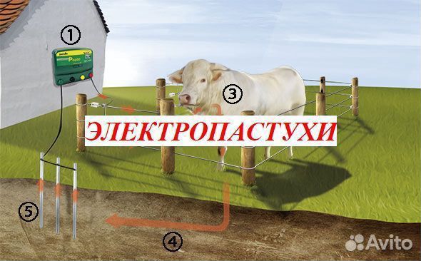 Электропастух