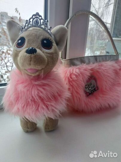 Чичилав собака