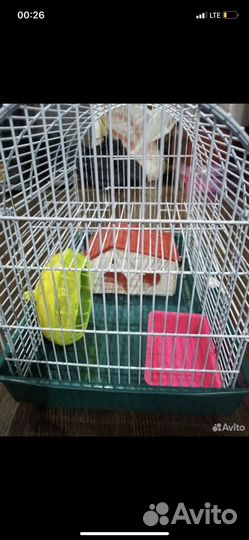 Клетка для грызунов