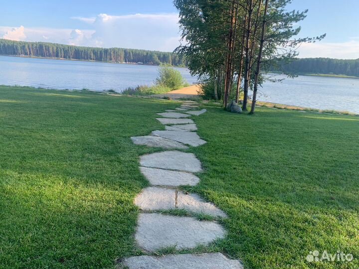 Спортивный газон. Футбольный газон