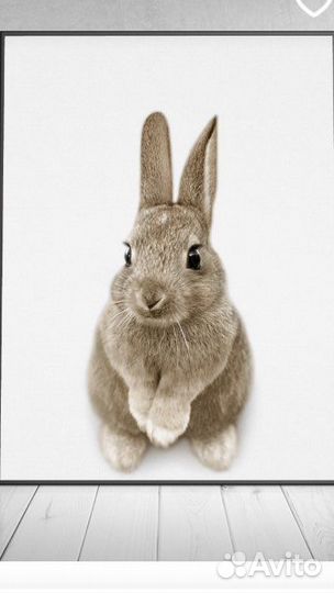 Постеры 30*40