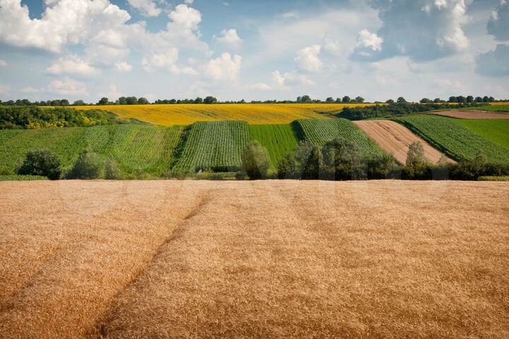 Участок 8,5 га (СНТ, ДНП)