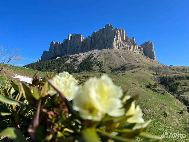 Заброска на Тхач (Тайвань)