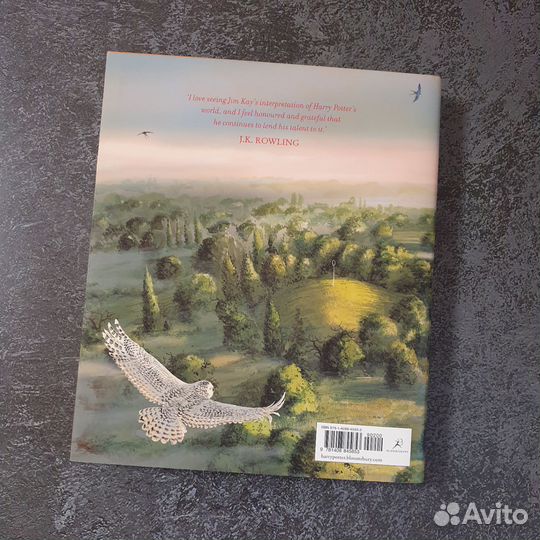 Harry Potter and the Chamber of Secrets