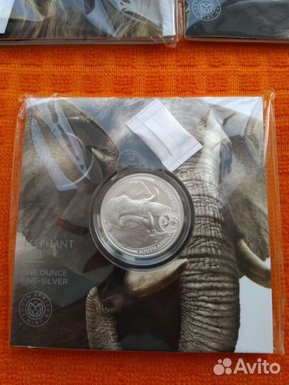 Юар 2, 5 Рэнд большая пятёрка 2022 Лев,Носоро,Леоп