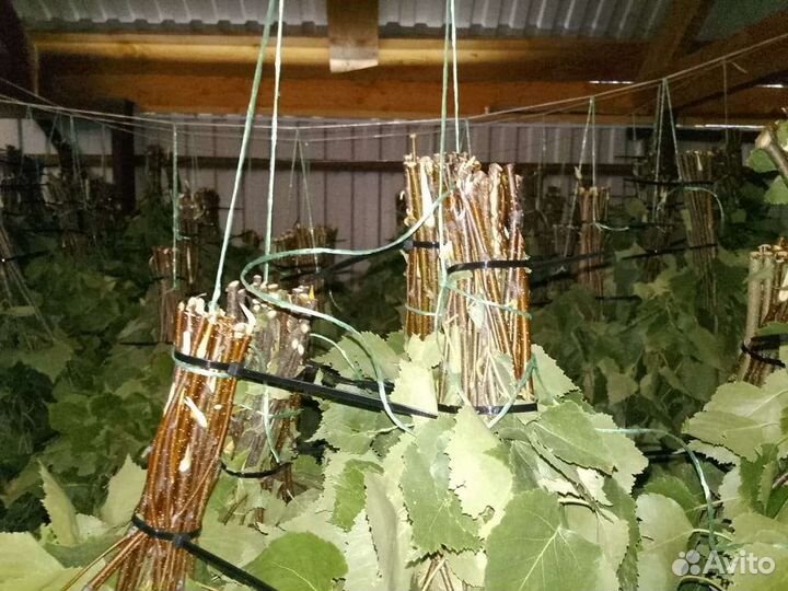 Банный веники