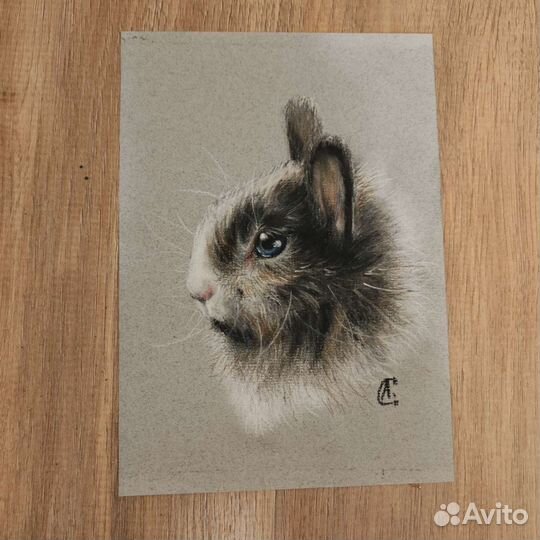 Сухая пастель.Кролик