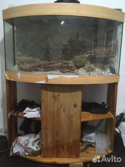Аквариум