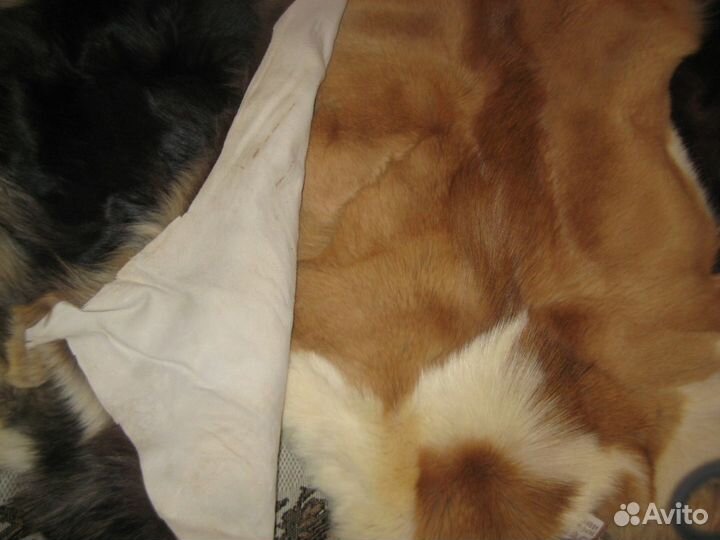 Мех натуральный Чехия