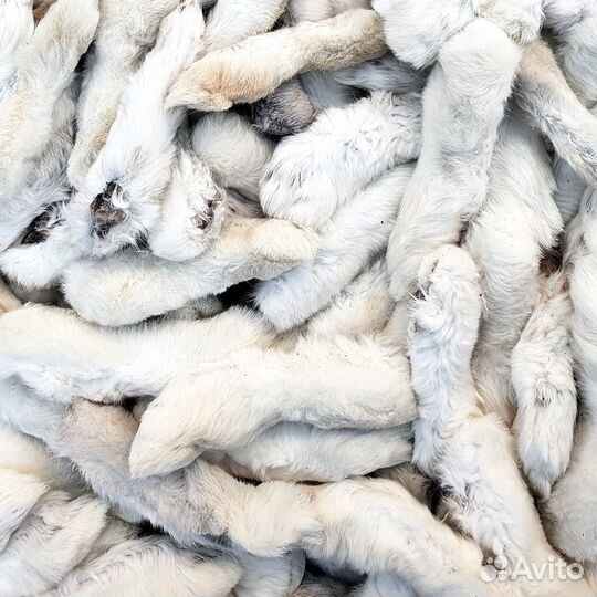 Натуральные сушеные лакомства для собак