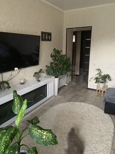 2-к. квартира, 40 м², 1/2 эт.