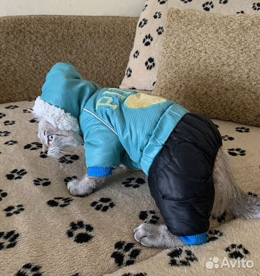 Переноска для животных