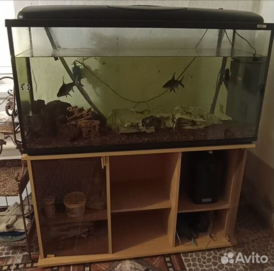 Аквариум с тумбой 200 литров