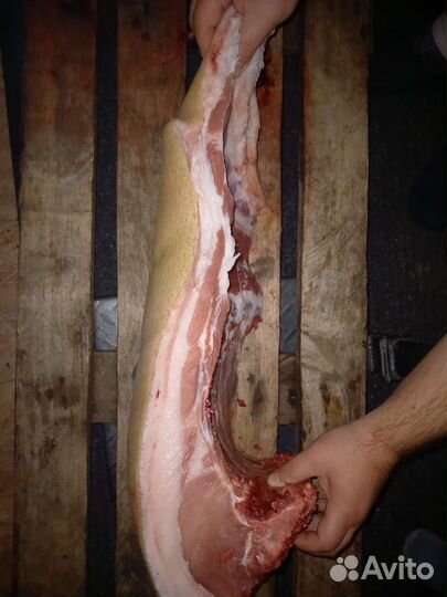 Мясо свинины, тушки цыплят бройлеров