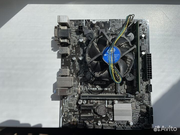 Asus Prime b250m-k + intel pentium g4560